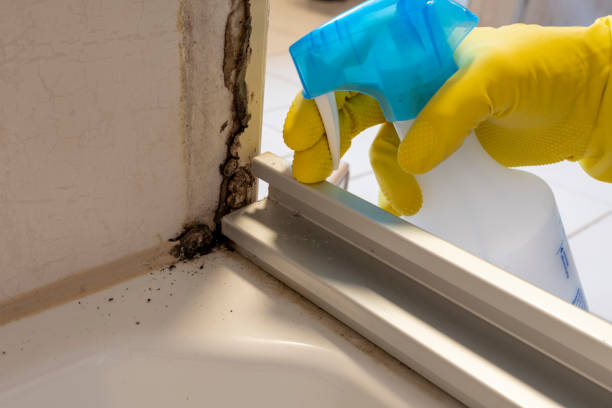 Best Industrial Mold Remediation in Rosepine, LA